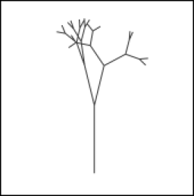 ll-albero-2